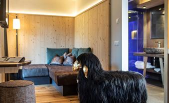 Living room and bath room Studio Alpin