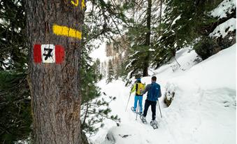 Snowshoe hike