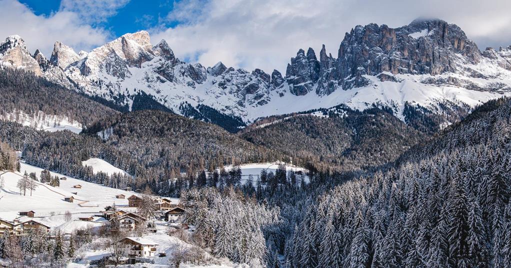 Tiers am Rosengarten im Winter