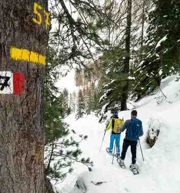 Schneeschuhwanderung