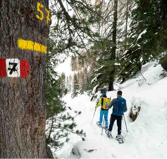 Snowshoe hike