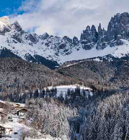 Tiers am Rosengarten im Winter