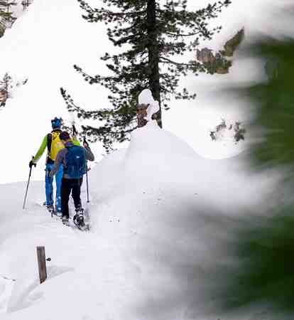 Snowshoe hiking in the woods