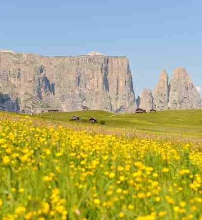 Alpe di Siusi