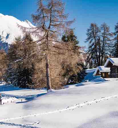 Alpe di Siusi in inverno