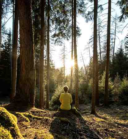 Forest Bathing