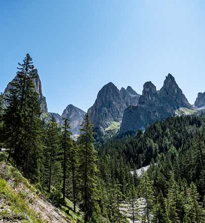 Auf einem Wanderweg