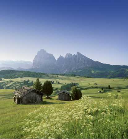 Summer on the Seiser Alm