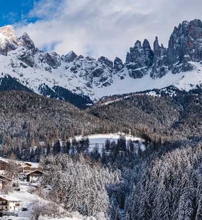 Tiers am Rosengarten im Winter