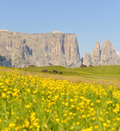 Alpe di Siusi