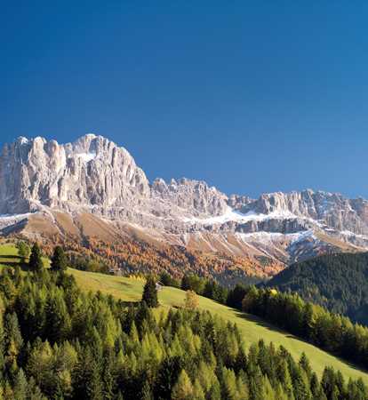 Rosengarten mit Schnee